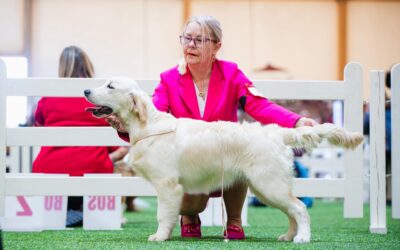 SORCERESS MORGAN from Arian Hill