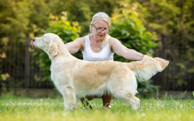 I EM WANDA MAXIMOFF from Arian Hill